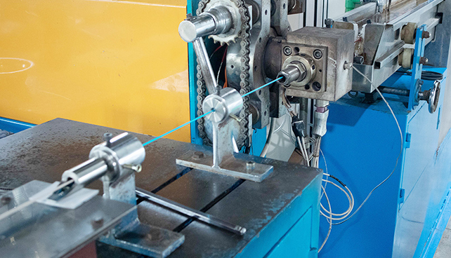 The Services that We Provide